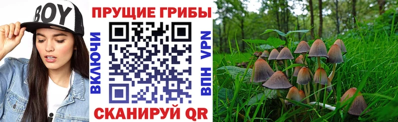 Псилоцибиновые грибы мухоморы ОМГ ОМГ зеркало Балей